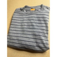 Icebreaker Merino Bodyfit 200 Mens Small Grey Striped Long Sleeve Base Layer Top