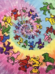 Grateful Dead Men’s Spiral Bears Tie Dye T-shirt Size Medium Liquid Blue