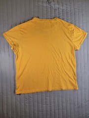Aeropostale Men’s Large Yellow Graphic T-Shirt Original Brand Mountain Crew Neck