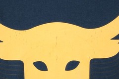 Under Armour Shirt Men’s XL Blue Heatgear Project Rock T Short Sleeve Bull Skull