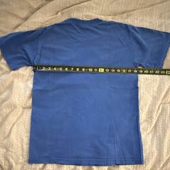Vintage Gildan Ultra Cotton The Smiths “How Soon Is Now?” Blue Graphic Tee S