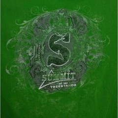 Gildan Heavy Cottton Summit Tree Stand Hunting T-Shirt. Men’s XXL. Green