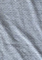 Champion Double Dry T-Shirt Mens Large Gray Athletic Logo Moisture Wicking NWT