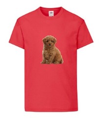 Toy Poodle Brown Dog Pet Family Novelty T Shirt Various Colours And Sizes