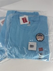 Lot of 5 Hanes Essentials Men’s T-Shirts Small S Blue Horizon Cotton Crew Neck