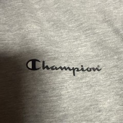 Mens Medium Champion T shirt Soft Feel Grey