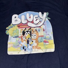 Bluey & Friends Family t-shirt w/ Bluey, Bingo, Chilli & Bandit Med Blue