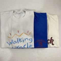 Wholesale Lot of 30 Vintage Short Sleeve Tee Shirts (Sizes In Description)