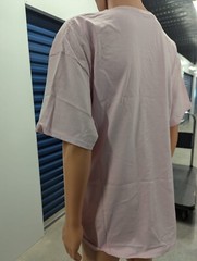 Hanes Authentic-T Men’s T-Shirt 2XL Light Pink 100% Cotton Casual Crew Neck