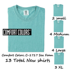 Comfort Colors C-1717 Sea Foam T Shirts 13 total