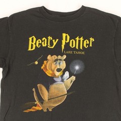 DELTA PRO Beary Potter Harry Potter Lake Tahoe Cropped T-SHIRT Youth M