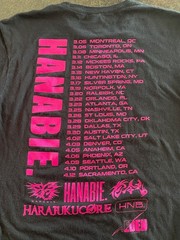 Hanabie 2025 Spring USA Tour limited Shirt Size Medium Gildan The Ritz, Raleigh
