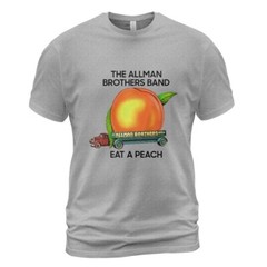 Rare 1970s 70s The Allman Brothers Eat A Peach Light Blue T shirt
