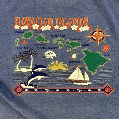 VTG Hawaiian Islands Shirt Mens XL Blue Alstyle Map Dolphins Adult #8000