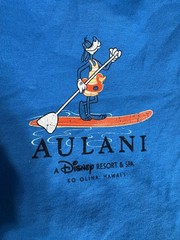 Disney Resort & Spa Ko Olina Aulani Hawaii Large Blue T-shirt Crew Neck Surfing