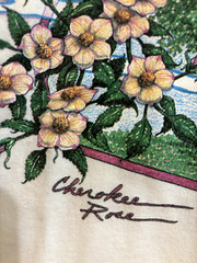 Vintage 1990 Georgia on My Mind Large Single Stitch T-Shirt USA