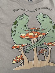 Feelings Come , Feelings Go Rare Shirt Tshirt Large Size Shirt USA Seller
