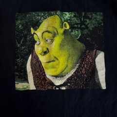 Shrek Meme Graphic Tee Black T-Shirt DreamWorks Adult Unisex Funny OG Shirt XL