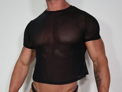ADULT SHORT SLEEVE CROPPED SHEER SHIRT SIZE M/L
