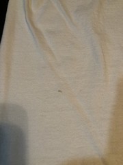 Vintage Speed-O Brand 2 Sided Printed Short Sleeve T-Shirt White W/ Multi Colors