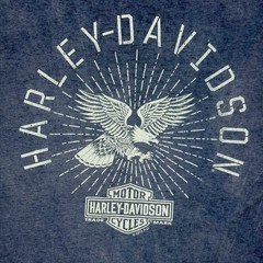 Vintage Harley Davidson Shirt Mens XL Blue Chandler Arizona Scorpion Graphic Tee