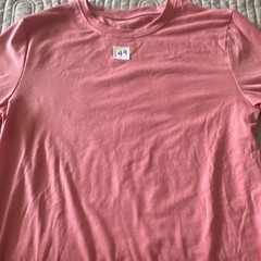 Lesson Zoo Men’s Pink Cotton Blend Crew Neck T-Shirt 15-16Y Short Sleeve