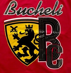 Men’s Bucheli T Shirt,Italian Style,Cotton Slim Fit,Stretch S XL….A26.A