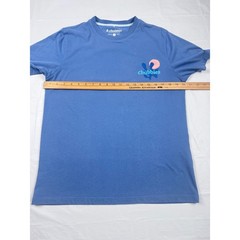 Chubbies Mens Sky’s Out Thighs Out Graphic T-Shirt Blue Medium Cotton Blend