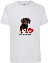 Dachshund Dog Pet Family Friend Novelty T Shirt Various Colours And Sizes