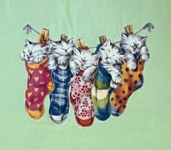 Vintage Fruit of the Loom XL Unisex Tee ~ Kittens on the Line in Socks Stockings