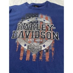 Harley Davidson Las Vegas Nevada T-Shirt Mens Large Blue American Flag Graphic