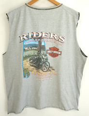 Birmingham AL Riders Harley Davidson Graphic T-Shirt Men’s XXL Gray Sleeveless