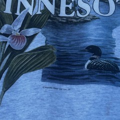 Vintage Fruit of the Loom Minnesota graphic tee size XL. Some stains on sleeve