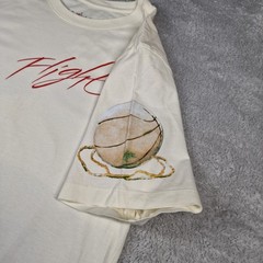 Nike Jordan Artist Series Jacob Rochester Flight World Tour T Shirt Mens L Cream