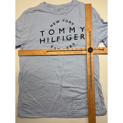 Tommy Hilfiger Long Sleeve Graphic Tee Mens Medium Baby Blue Y2K Streetwear