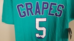 JORDAN V RETRO 5 GRAPES OUTFIT SHIRT + SHORTS SET EMERALD PURPLE RARE (MEDIUM)