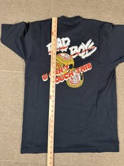 Vintage 90s Detroit Pistons 89 Bad Boys T-Shirt World Champions Hammer Time