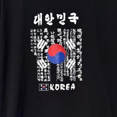 Korea Flag Shirt Mens L Black Hangul Graphic South Korea Travel Tee Souvenir
