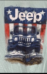 JEDCO Jeep T Shirt Size Small Seafoam Green Graphic Tee