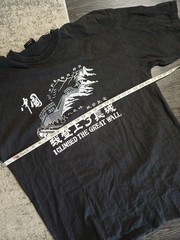 Vintage I Climbed The Great Wall T Shirt Adult Large Tourist China Hipster 3X