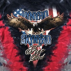 Lynyrd Skynyrd Shirt Mens Large Multicolor Free Bird Eagle Tie Dye Graphic Tee