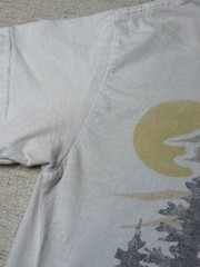 PacSun Yosemite National Park Waterfall Graphic T-Shirt