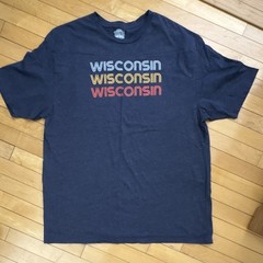 Home Free Wisconsin Graphic T-Shirt 2XL Dark Gray Polyester Cotton Rayon