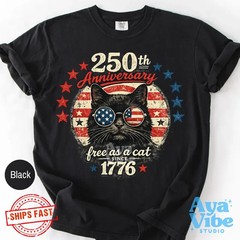 250th Anniversary Cat Shirt | Patriotic Cat Tee | Flag Sunglasses shirt