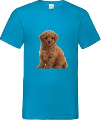 Toy Poodle Brown Dog Pet Family Novelty T Shirt Various Colours And Sizes