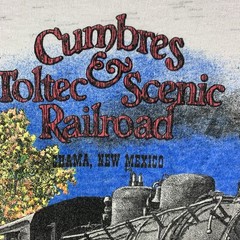 Cumbres & Toltec Scenic Railroad T-shirt Mens Large Steam Train VTG 90s