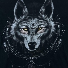 Spiral Direct Goth Wolf Dreamcatcher Moon Graphic Black T-Shirt Large