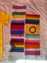LGBTQ+ T-Shirt (Small) + 9 Pride Flags Bundle