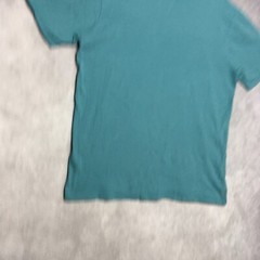 The North Face Mens Graphic T Shirt Adult size Large Teal Blue Short Sleeve Tee