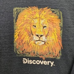 Crazy Shirts T Shirt Small Discovery Channel African Lion 2 Sided Long Sleeve